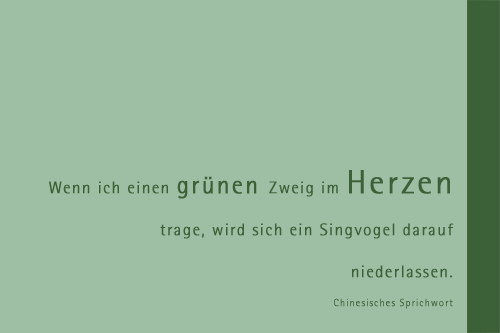 Ein Jahr im Garten